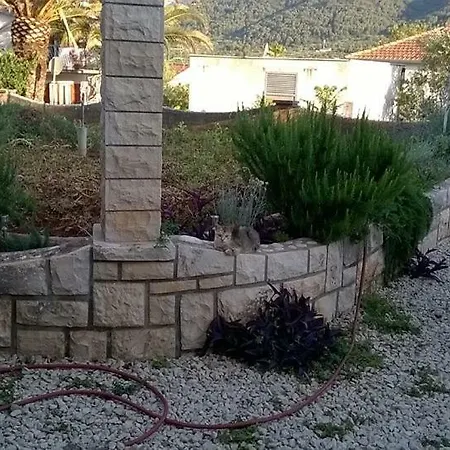 Guest house Rade 3*